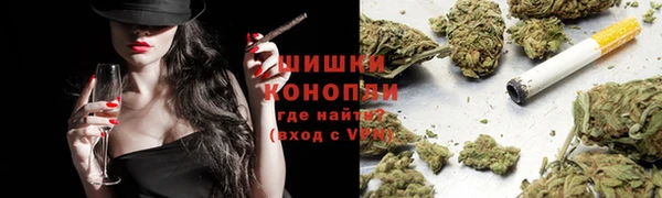 шишки Беломорск