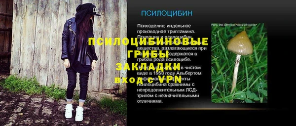 крисы Белокуриха