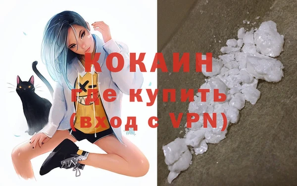 шишки Беломорск