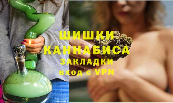 шишки Беломорск