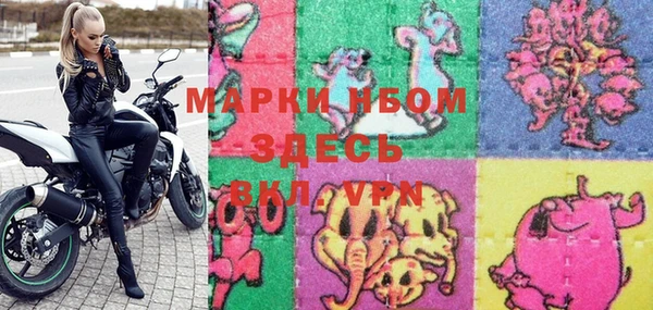 шишки Беломорск