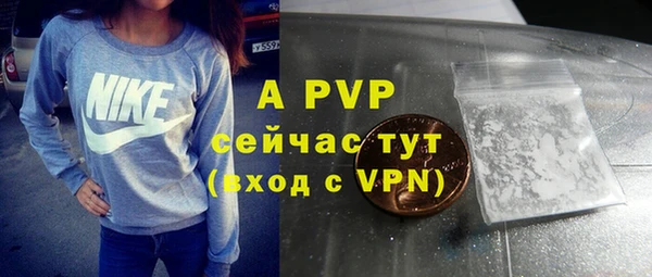 крисы Белокуриха