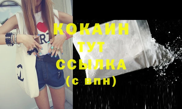 шишки Беломорск